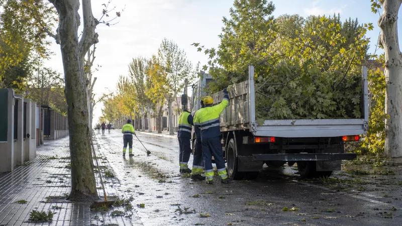 Operarios municipales retiran ramas de una calle tras una tormenta