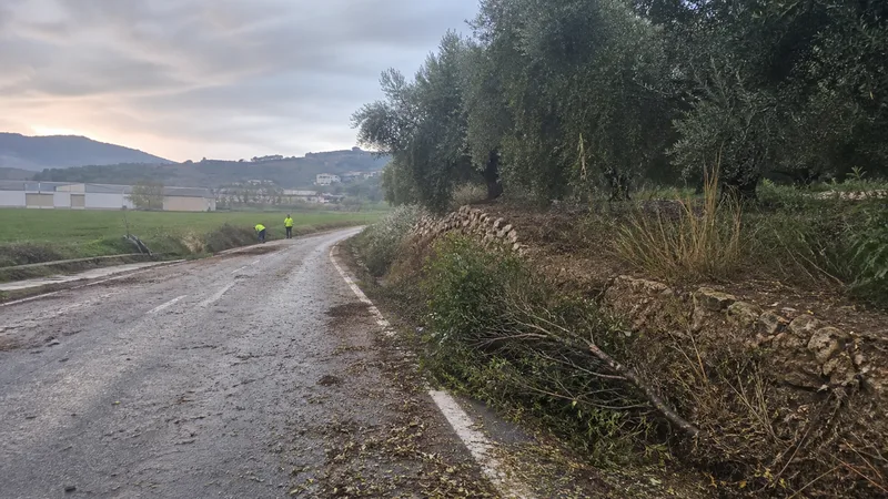 Carretera mojada con ramas apartadas y operarios al fondo