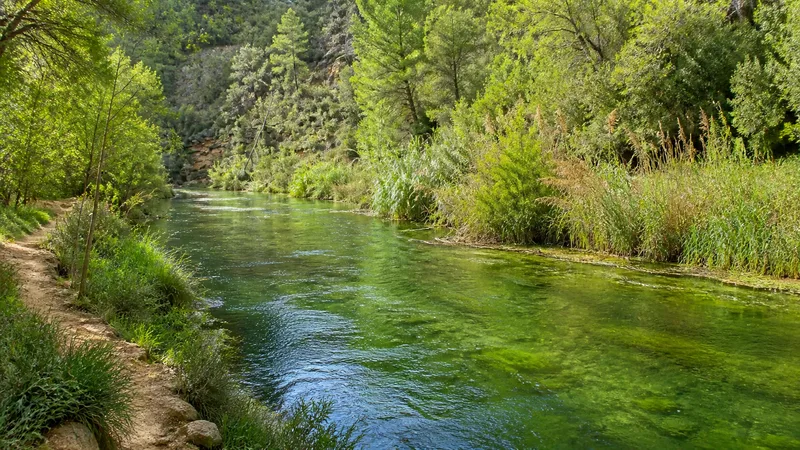Tramo de agua verde y transparente del río Cabriel entre vegetación de ribera