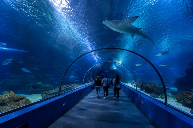 Túnel de L’Oceanogràfic
