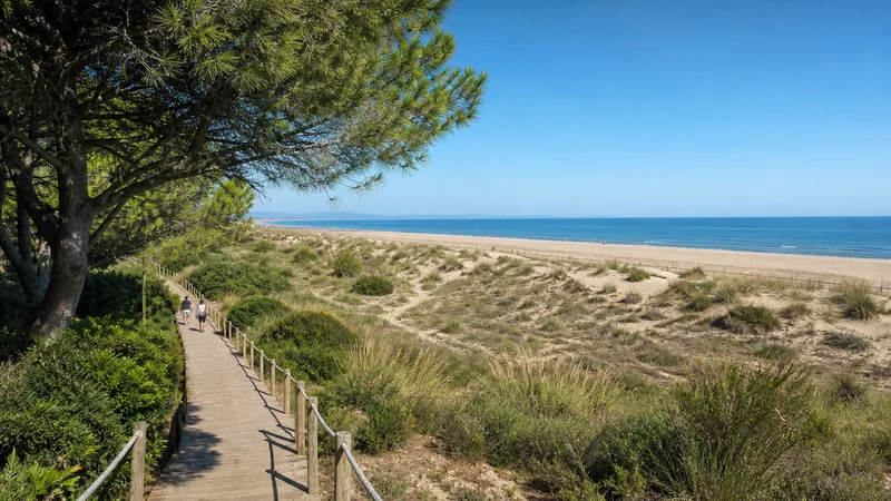 Pasarela autorizada entre pinos y dunas de la Devesa frente al Mediterráneo