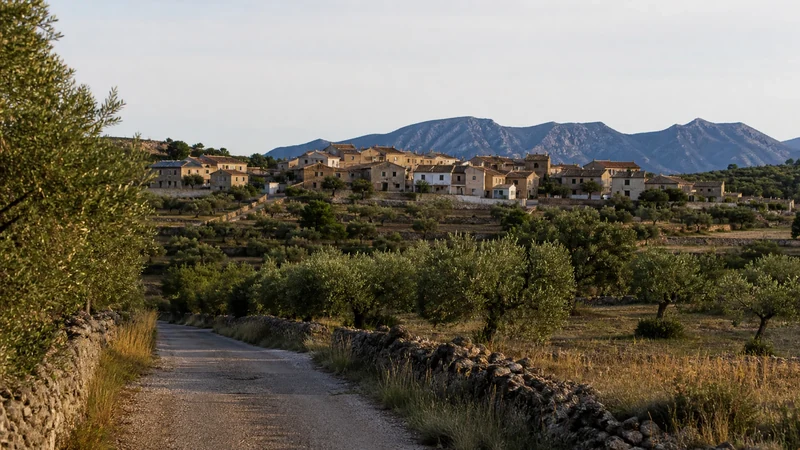 Núcleo rural representativo de la provincia de Valencia entre olivos y montañas mediterráneas