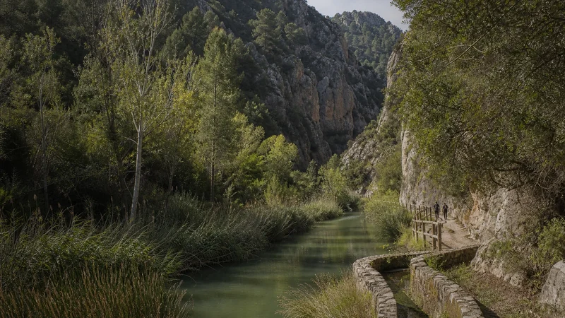 Paraje de la Cova Negra