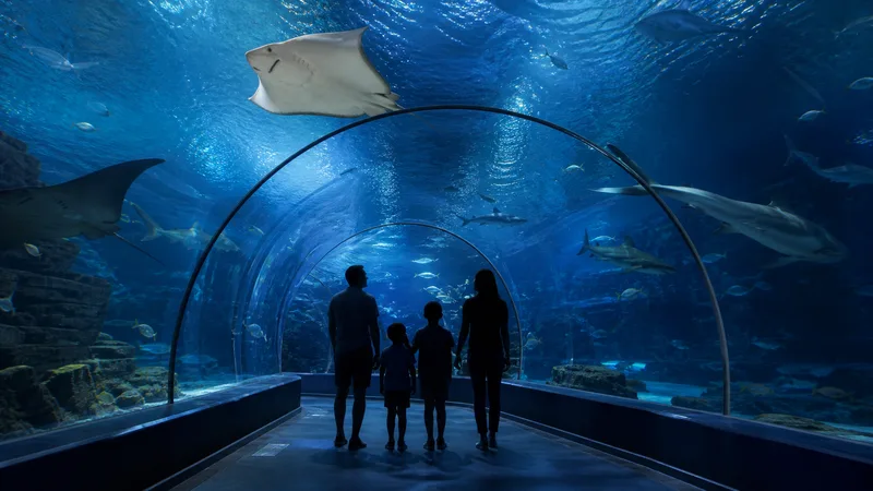 Familia contemplando tiburones y rayas desde un túnel submarino