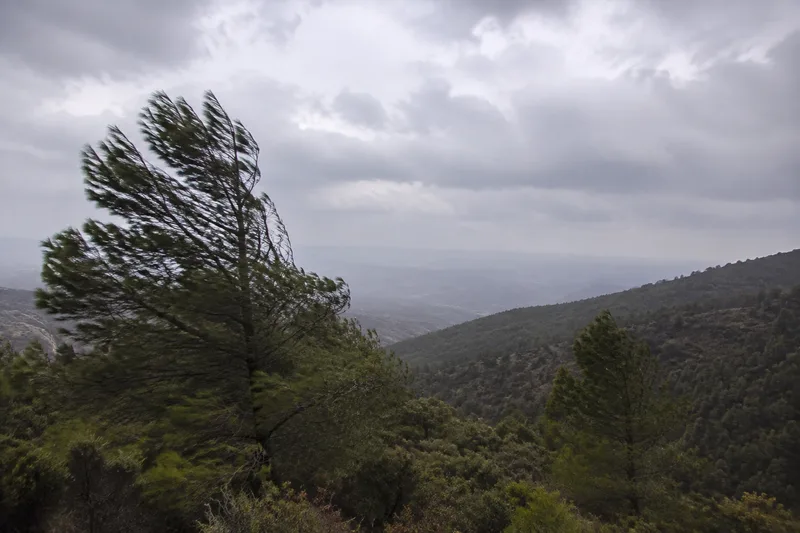 Laderas de monte mediterráneo bajo cielo cubierto y viento