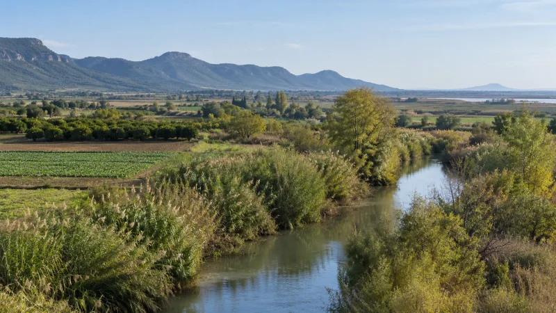 Arroyo entre parcelas de cultivo mediterráneas, con sierras bajas al fondo y vegetación ribereña.