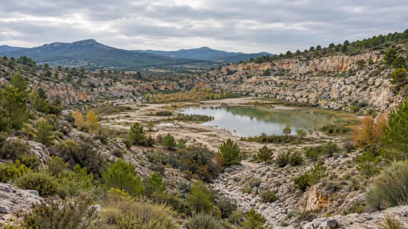 Antigua cantera recuperada como una depresión natural con agua estacional y vegetación mediterránea.